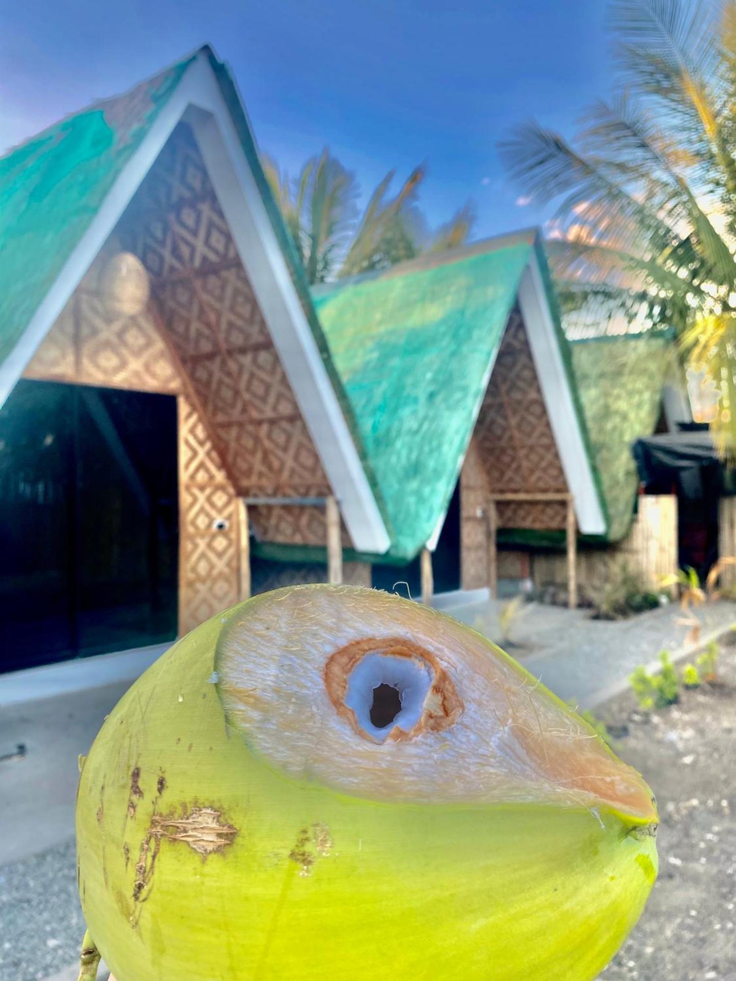 Villa Lovi Panagsama Beach Moalboal Exteriör bild